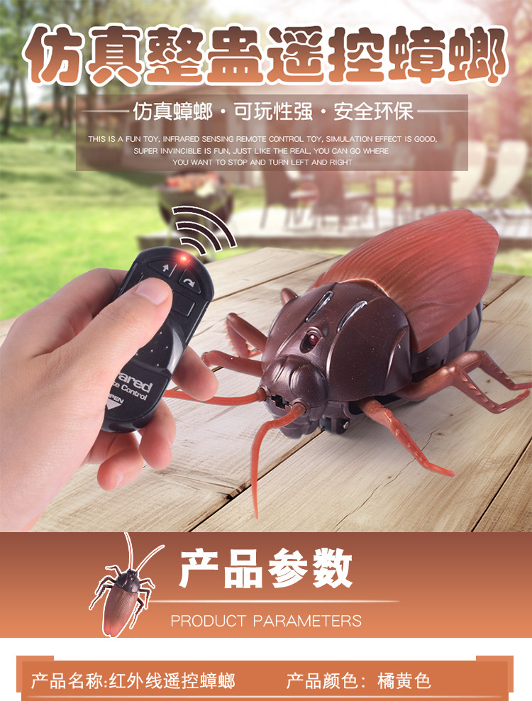 儿童玩具创意仿真遥控蟑螂整人模型遥控动物玩具男孩礼物