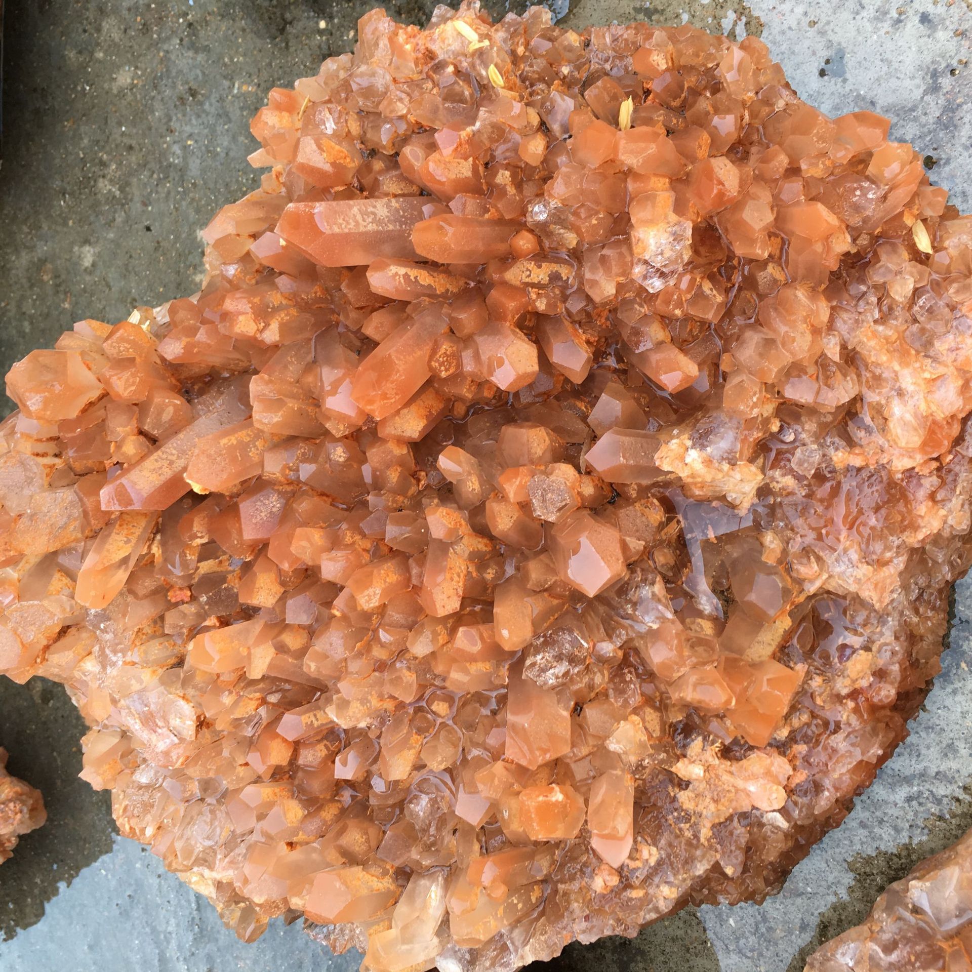 天然红水晶晶簇摆件 原石矿标 家居摆件办公装饰 产地直销