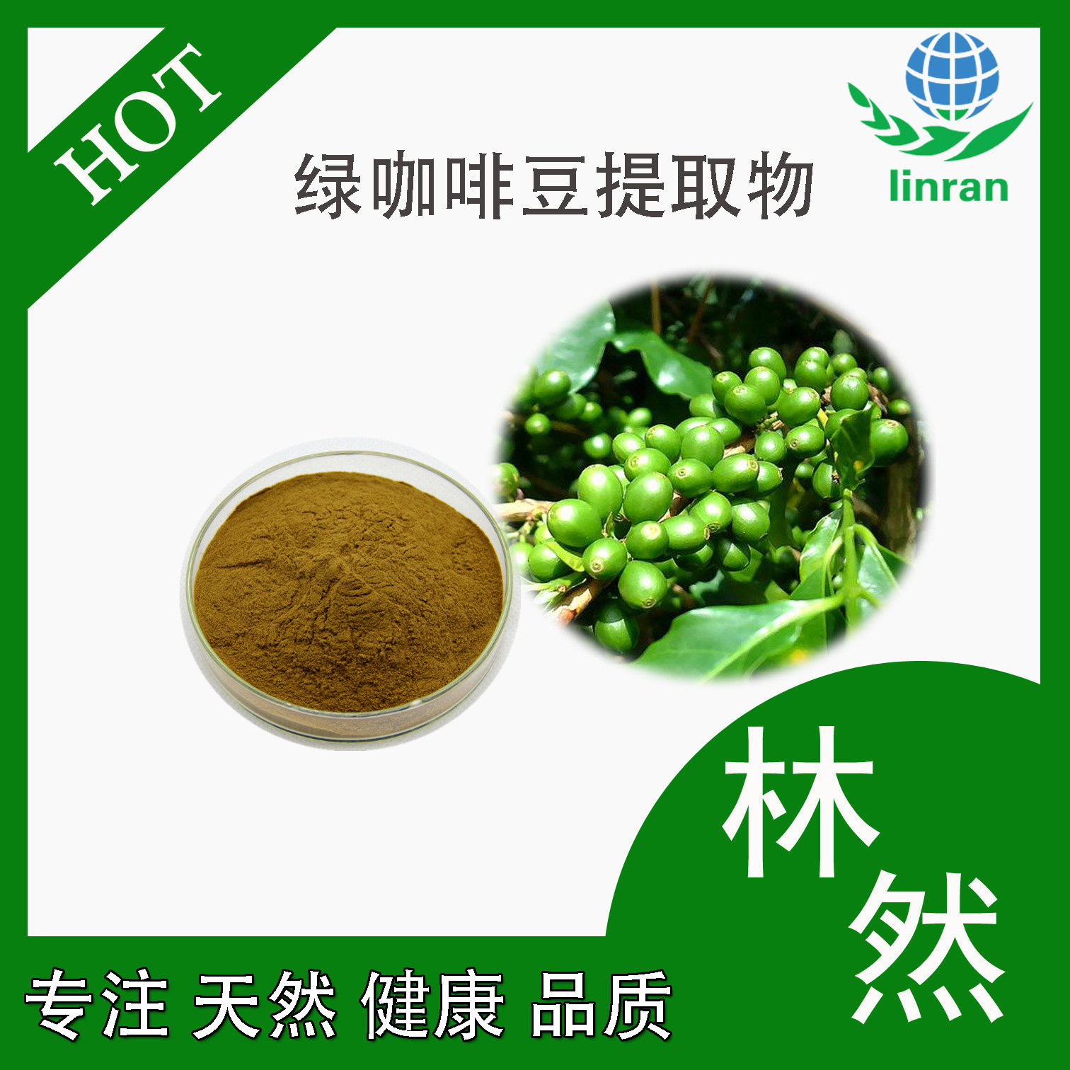 绿原酸含量50% 绿咖啡豆提取物 现货供应