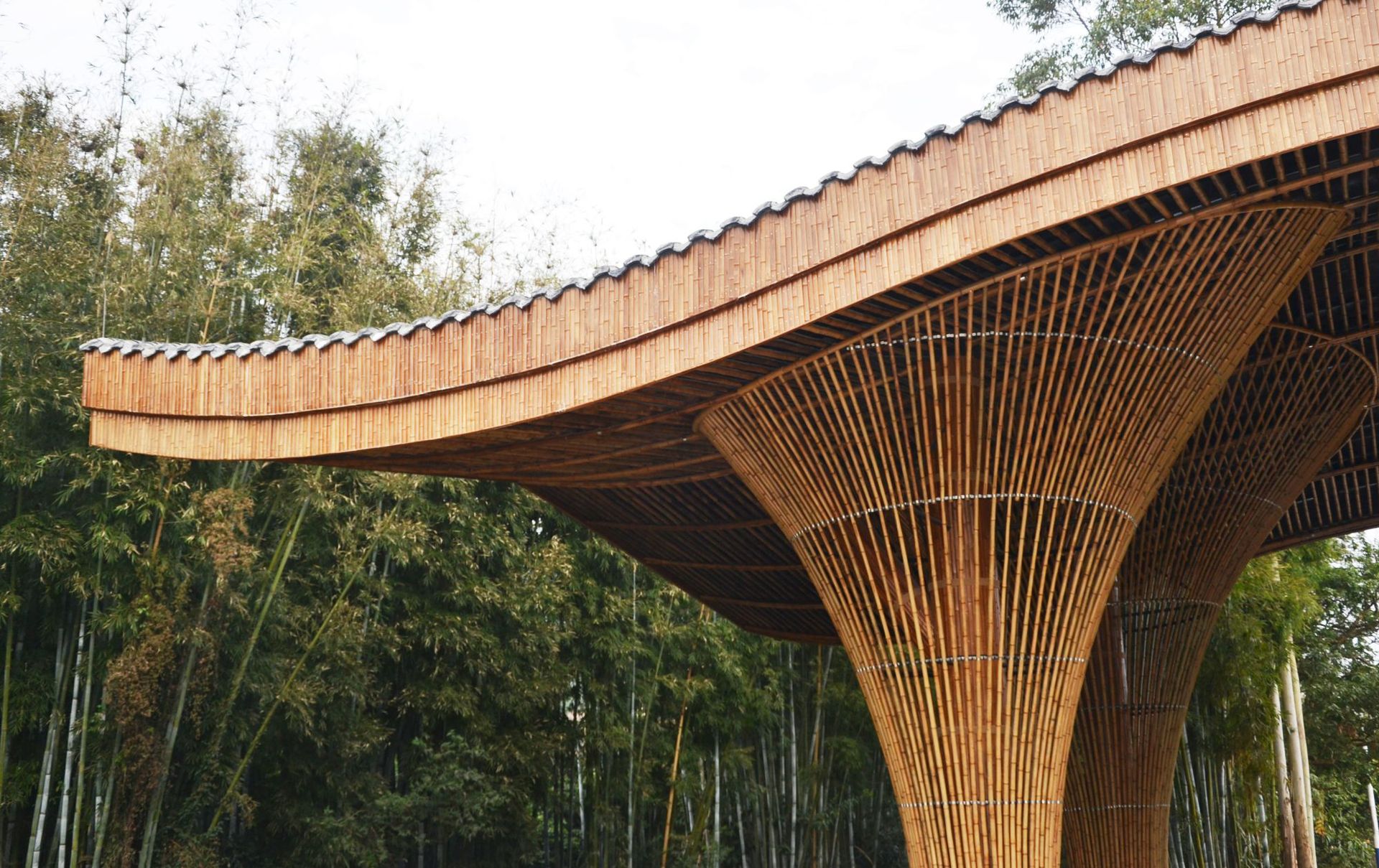 优价承接竹子装饰竹楼竹景观竹长廊竹材装修竹桥竹建筑竹房子设计