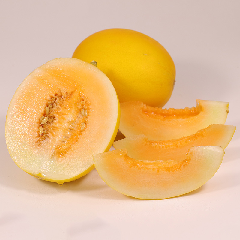 黄金蜜瓜 现摘现发 新鲜水果 香甜多汁 精品4枚装约5斤