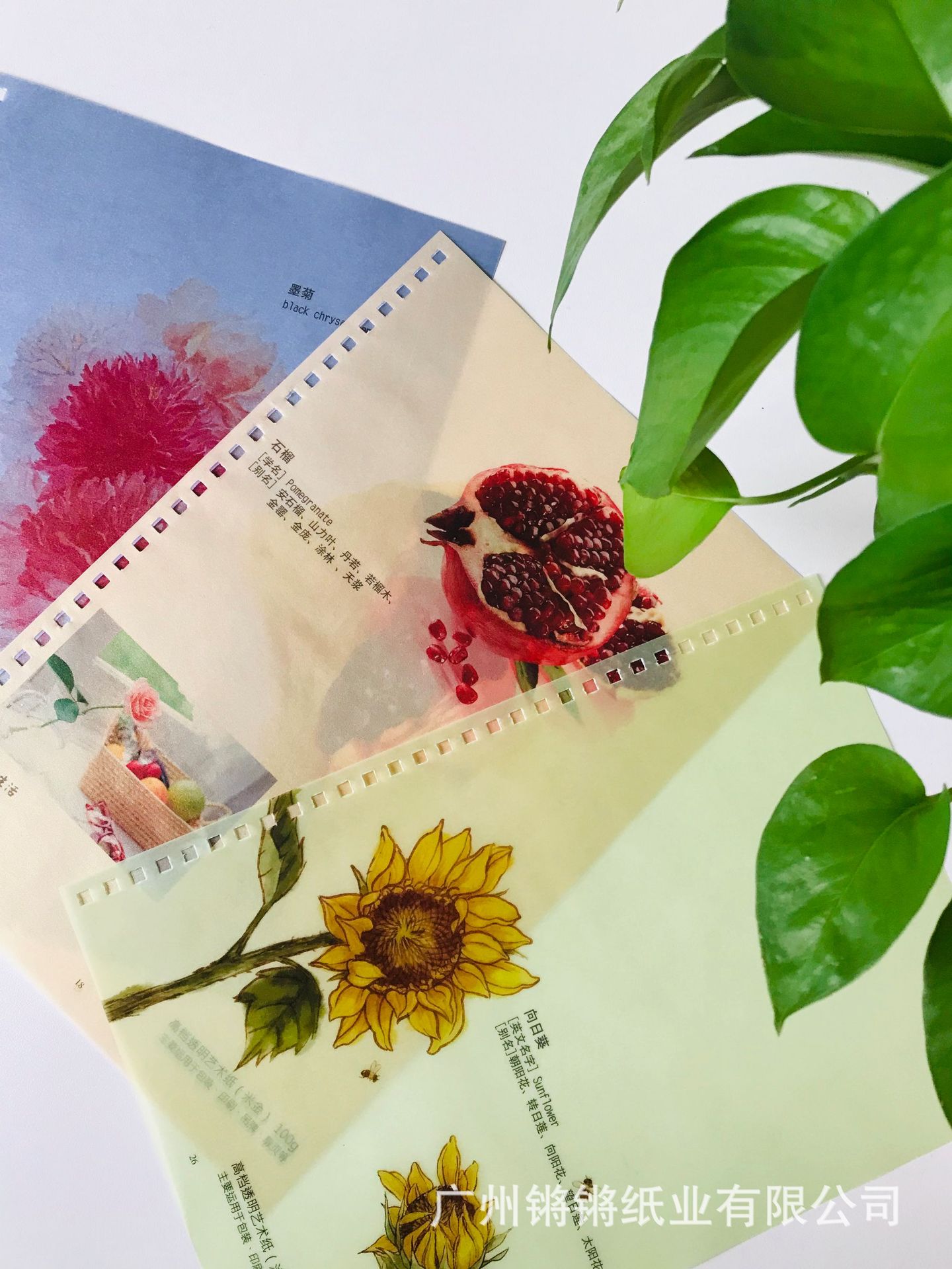 特种纸珠光牛油纸珠光硫酸纸扉页包装盒隔纸彩色牛油珠光纸