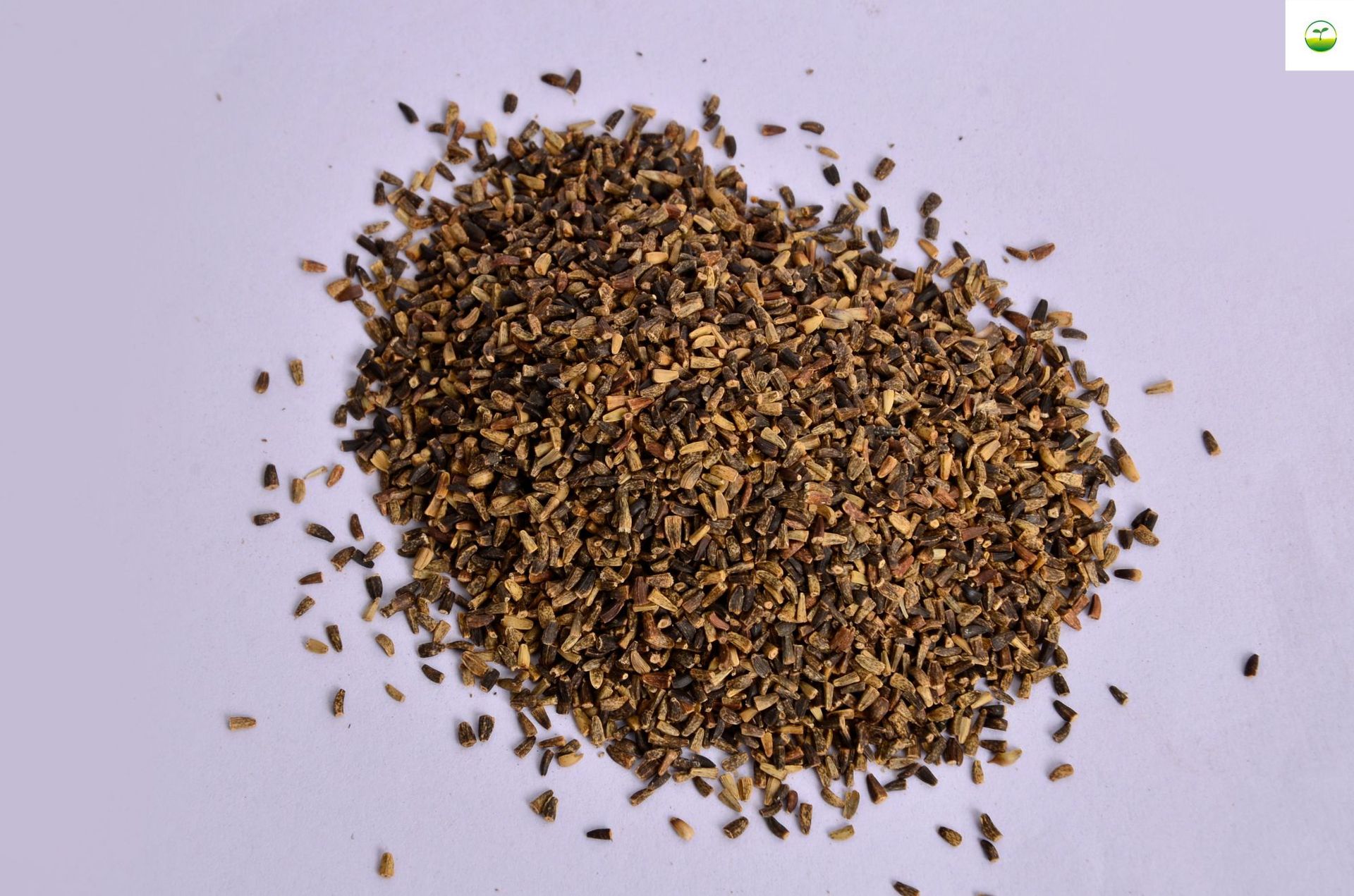 牧草子黑麦草紫花苜蓿苏丹草墨西哥玉米草菊苣籽甜象草苦荬菜种