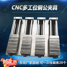 CNC多工位铜公夹具多工位批士模具虎钳加工中心铜公夹具4排20个位