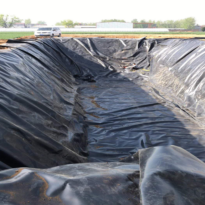 定制污水调节池防渗膜垃圾场1.5mm土工膜灌溉水池hdpe膜