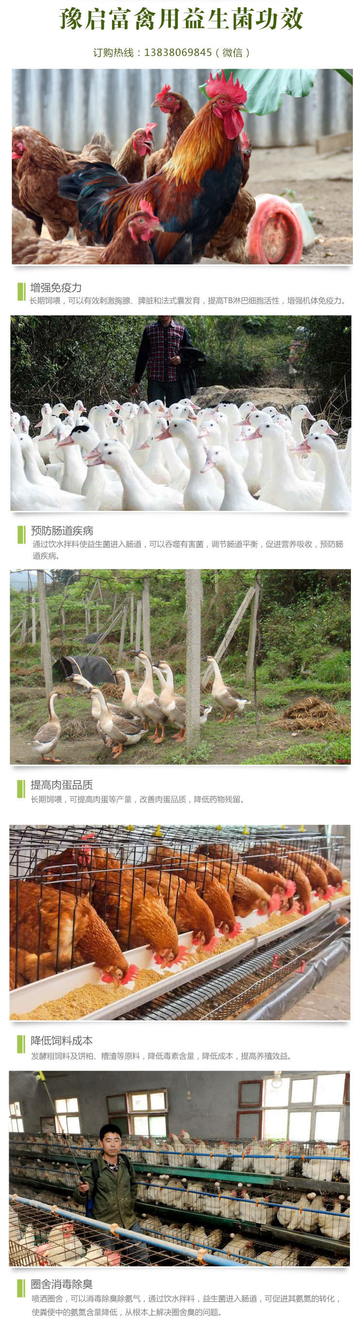 禽用益生菌功效