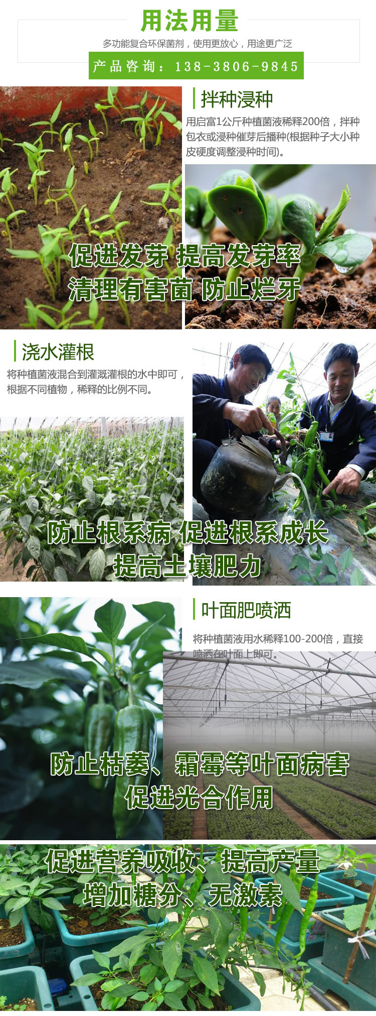 青椒专用益生菌使用操作方法