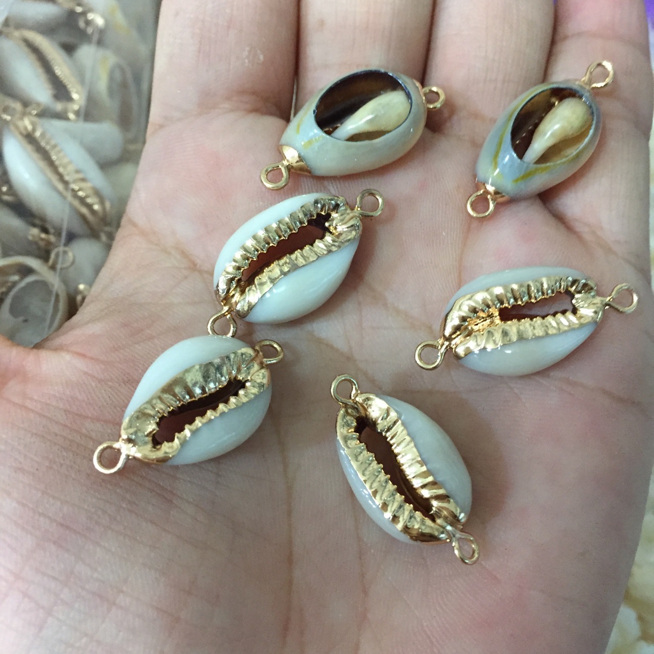 电镀小贝海螺金边螺 天然贝壳 镀金边海螺 牙齿壳 现货 批发