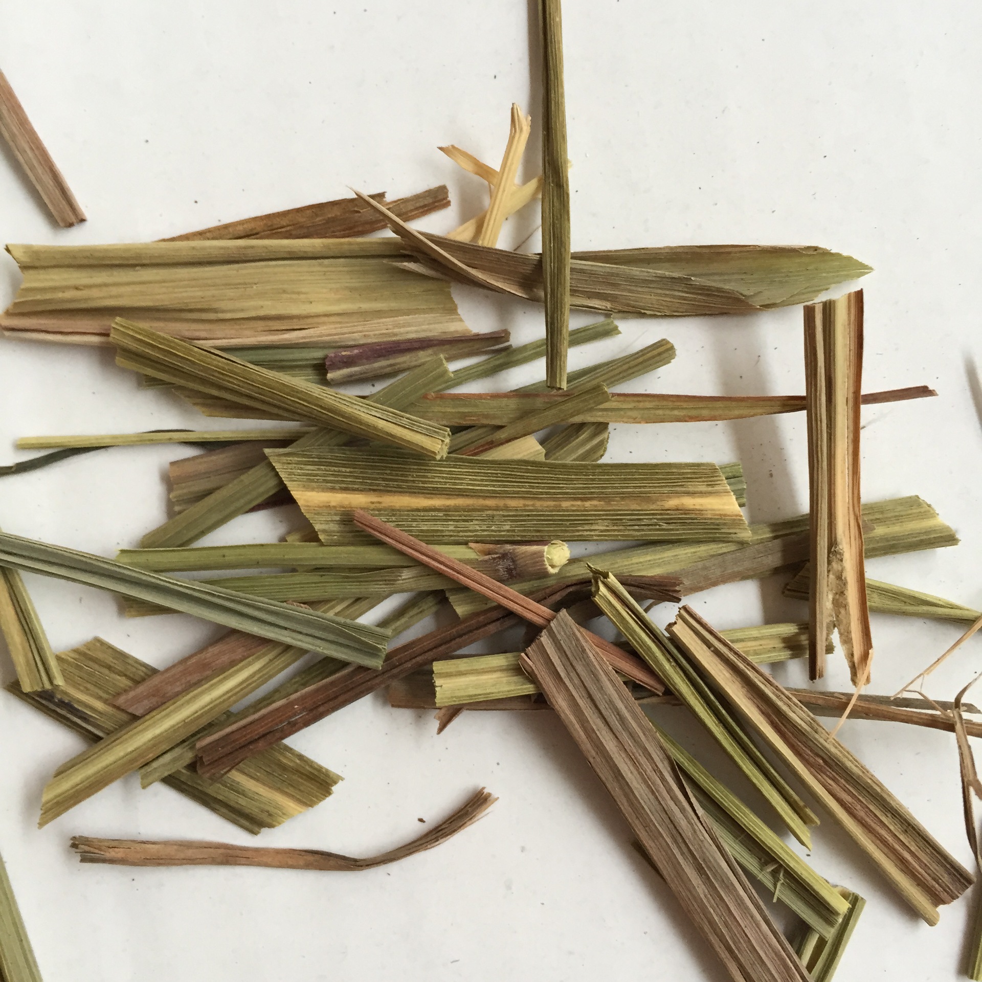 产地直销云南香茅草 香草火锅 卤菜用的好香料500克每袋批发