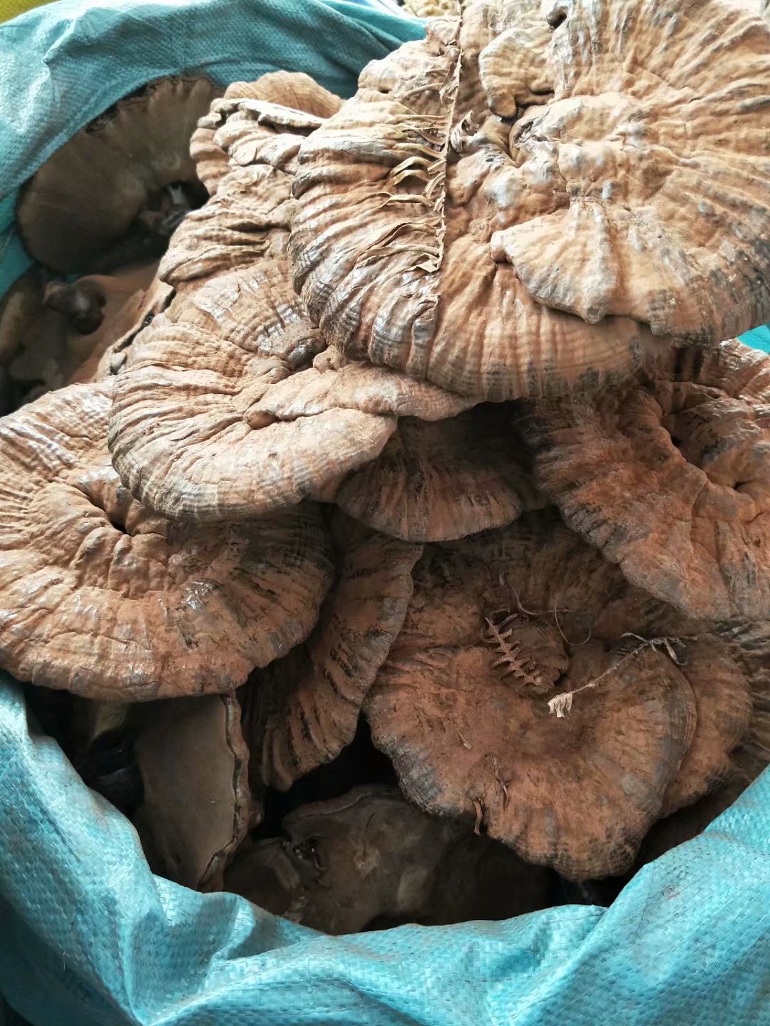 食用农产品售卖方式否是否进口云南原产地中草药品名分类大额支付网上