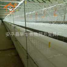 热镀锌三层四层肉鸡笼 鸡笼厂家生产层叠肉鸡笼 加工肉鸡笼养设备