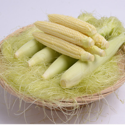 玉米笋 一件代发 包邮包售后