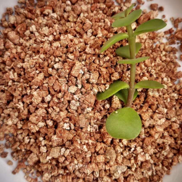 蛭石 无土栽培基质蛭石 孵化蛭石 防火涂料用蛭石