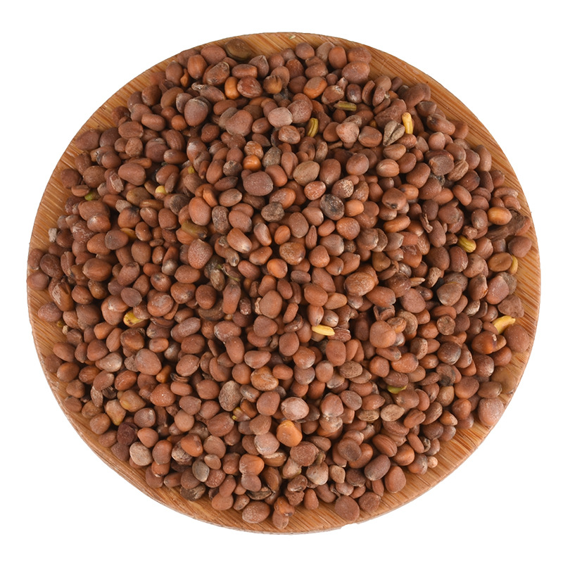 批发现货 莱菔子 萝卜籽 老兵诚信中药材一站式采购 按方抓药 包