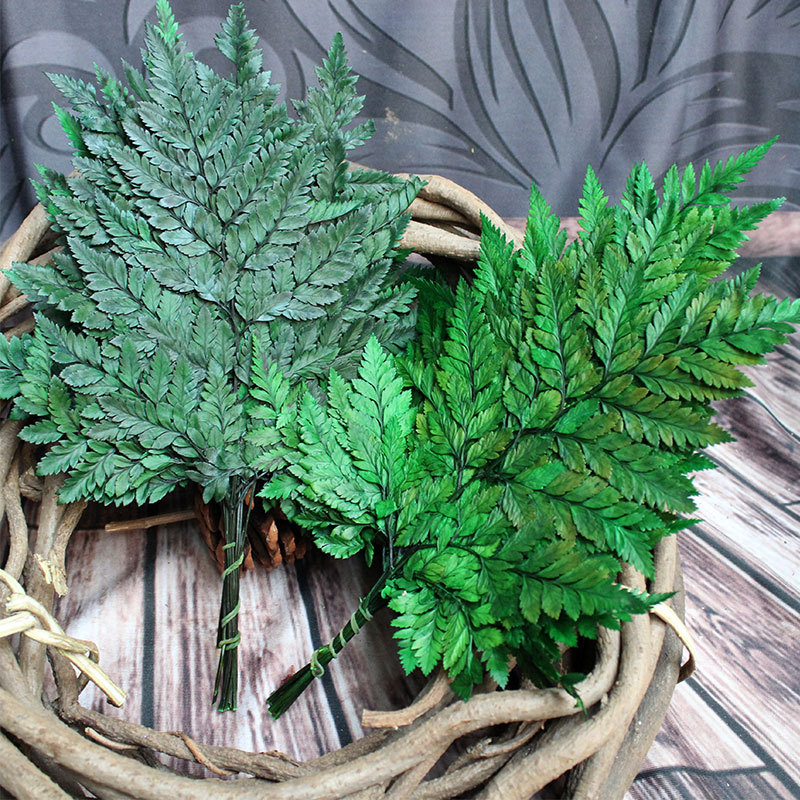 永生花高山羊齿 一包10片价 diy花材 摆拍道具 树叶