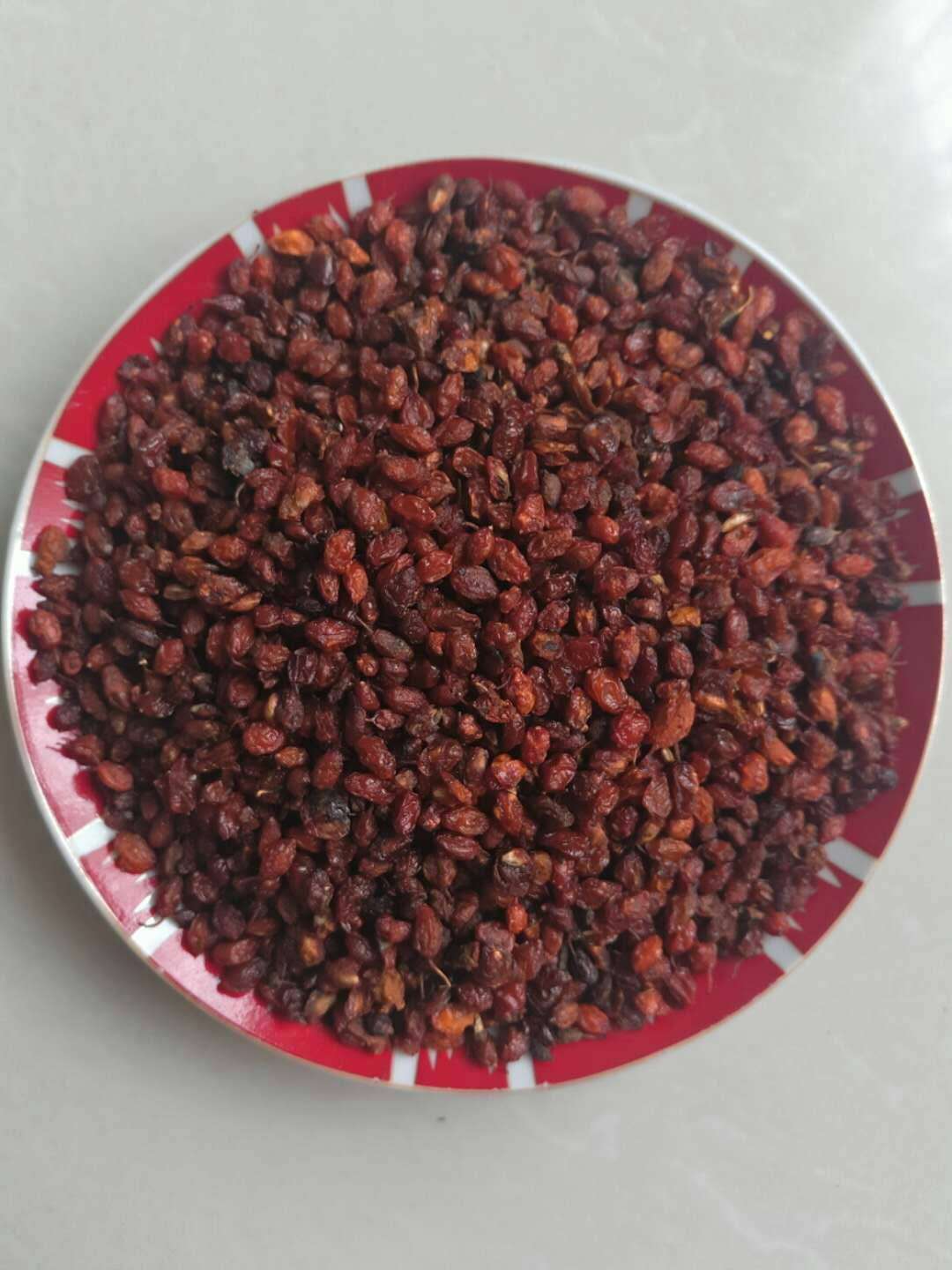 新疆优质 沙棘果