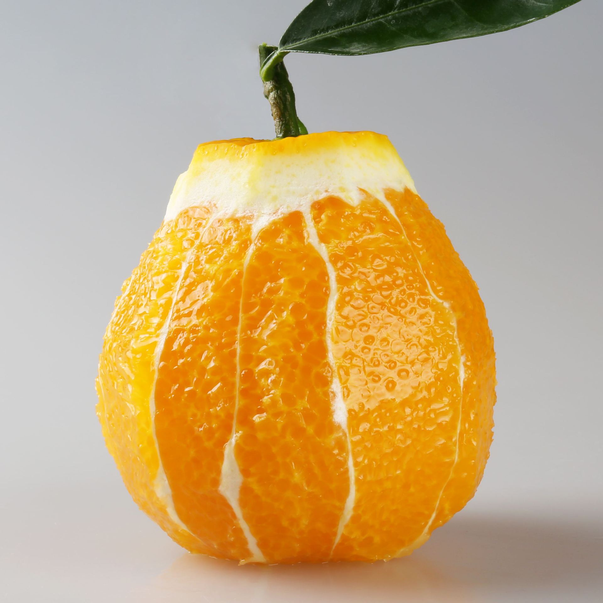 倾国"倾橙"一见"倾心"秭归伦晚脐橙,天赐良果,大器晚成!