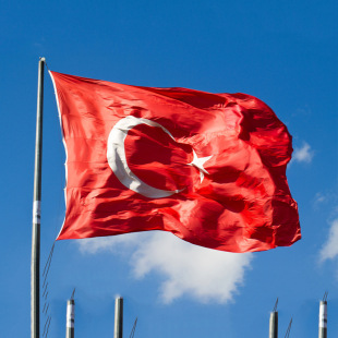 工厂现货批发90*150cm3*5ft 土耳其国旗4号涤纶旗帜 turkey flag