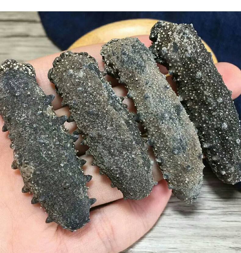 批发海参 日本关西参关中参海产干货厚肉纯淡干 野生刺参辽参100g