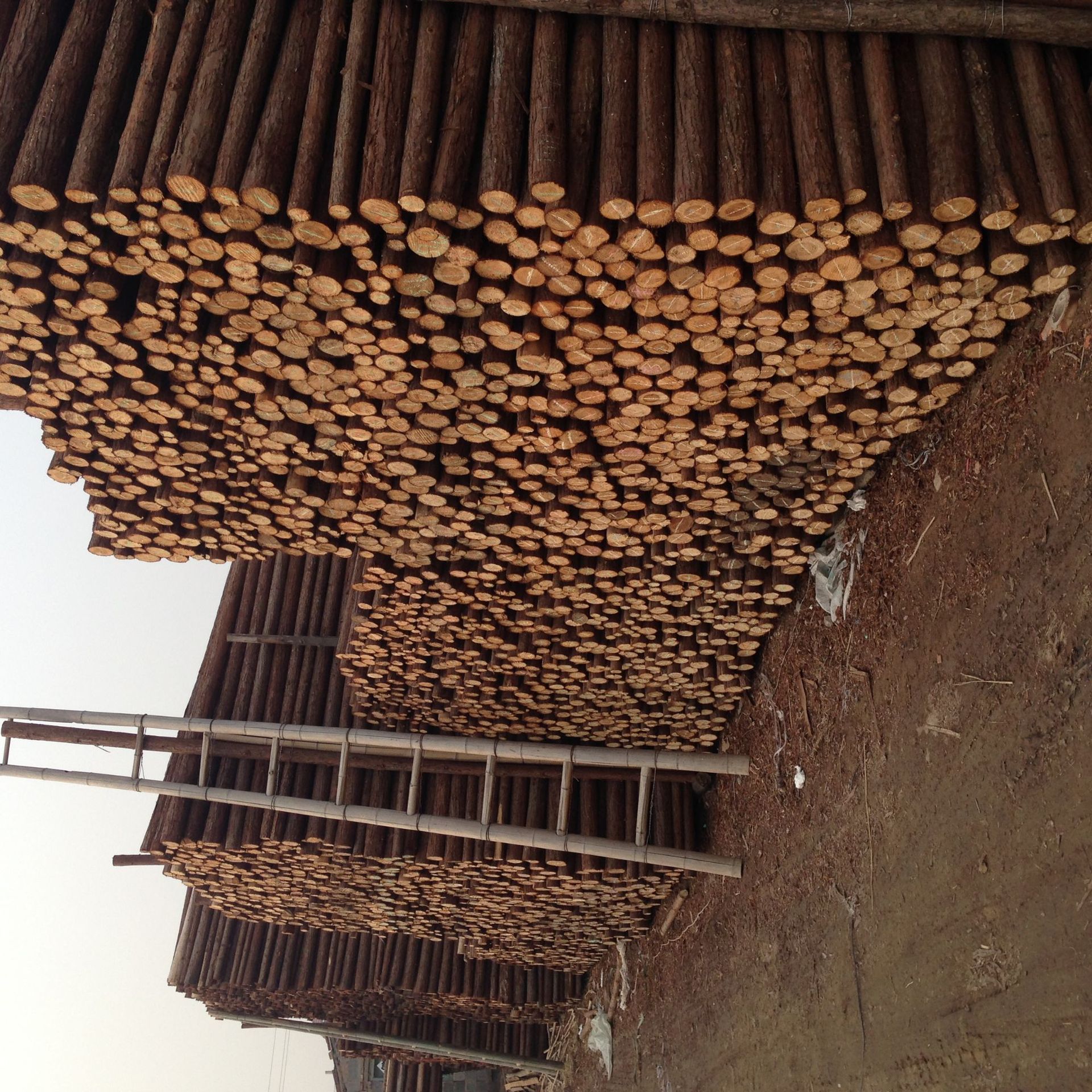 批发零售各种规格尺寸绿化支撑杉木杆欢迎致电