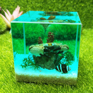 创意水晶树脂工艺品高档人造琥珀水晶礼品微景观海水螃蟹模型摆件