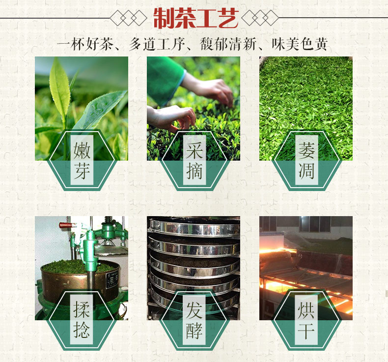 制茶工艺.jpg