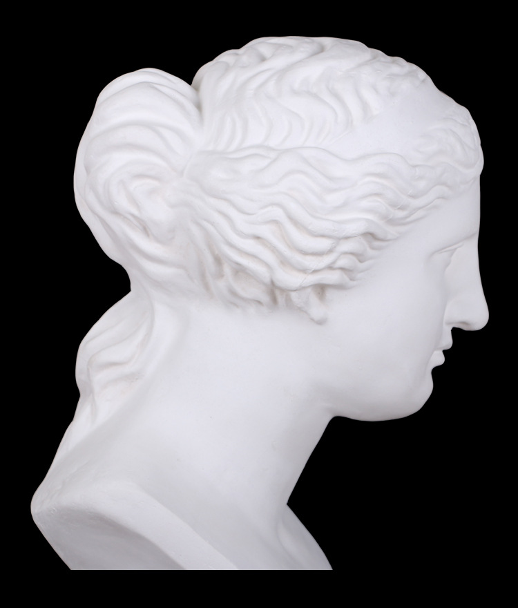 勃兰特美术石膏人物头像维纳斯胸像素描石膏像静物美术室配套器材