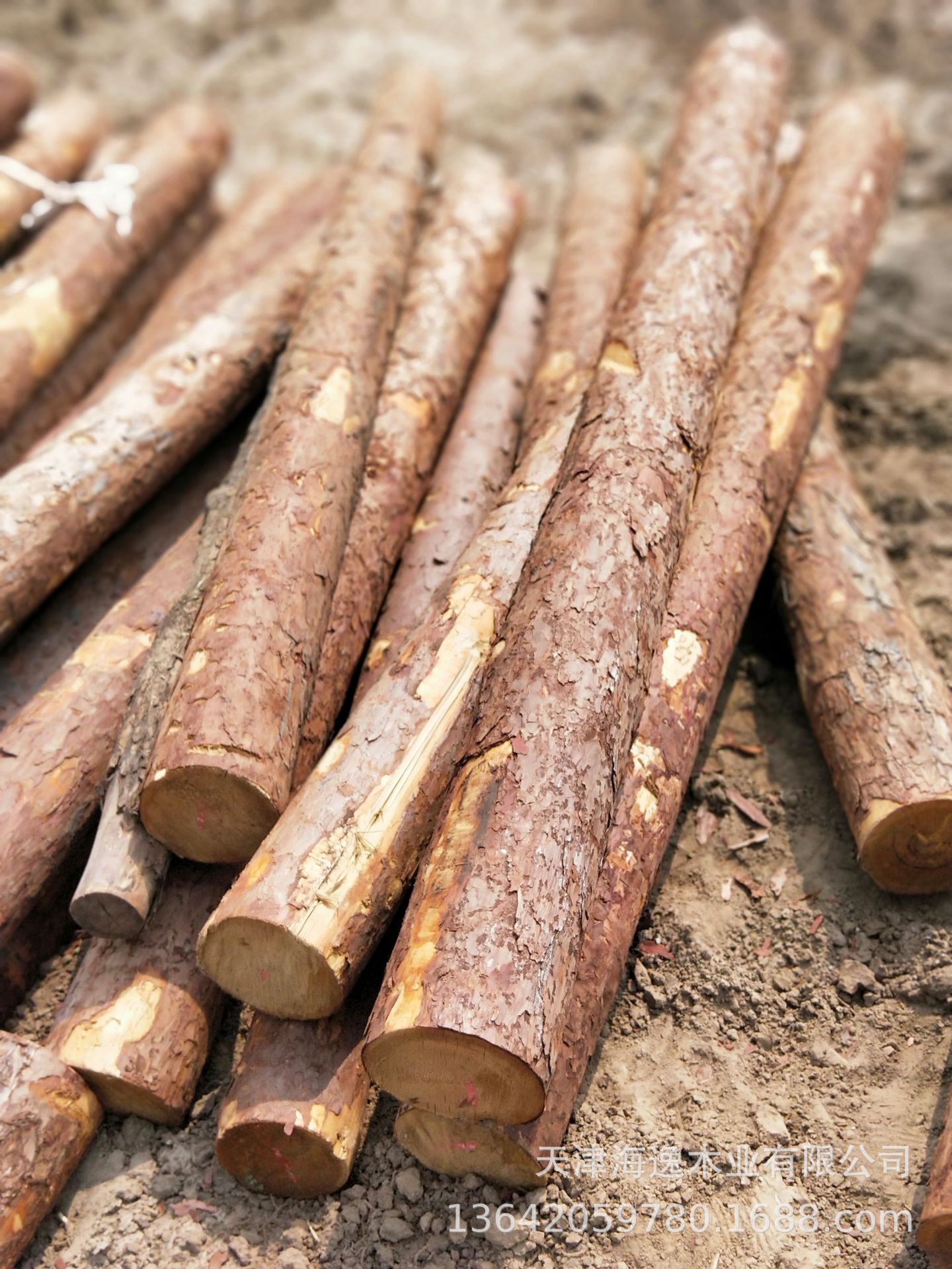 天津木桩加工订购,可削尖,可刷油,黄花松材质价格优惠尺寸充足