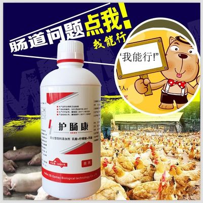 兽用护肠康500ml猪牛羊大肠杆菌鸡鸭鹅拉稀肠炎调肠道促消化包邮