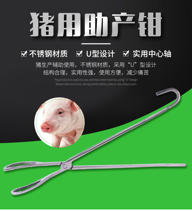 猪安居新款实用全新猪用助产钳 不锈钢猪生产辅助助产钳 厂家批发