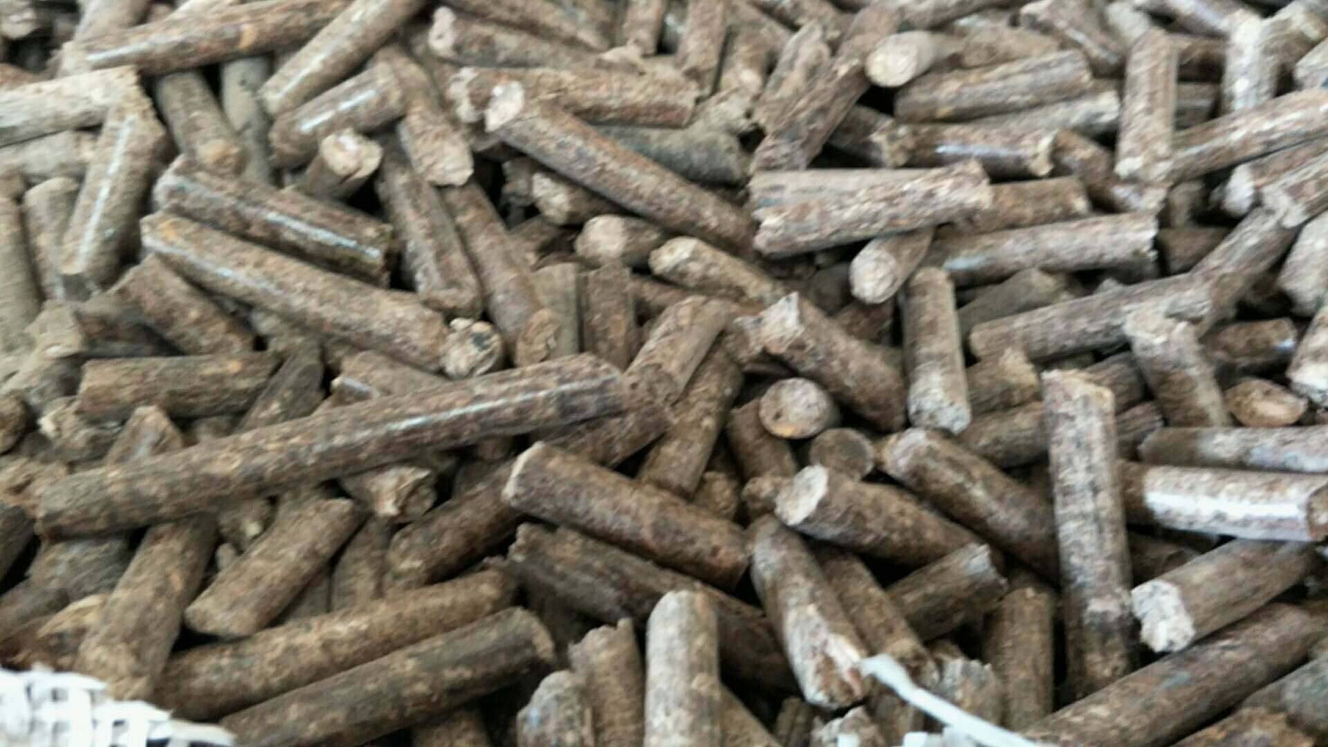 厂家直供红木生物质燃料颗粒 木屑颗粒 锅炉颗粒 樟子松颗粒