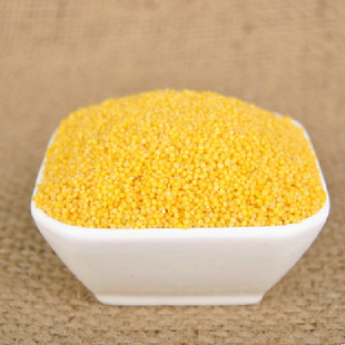 小米月子米粗粮小黄米 小米子营养粥宝宝粥孕妇养胃粥