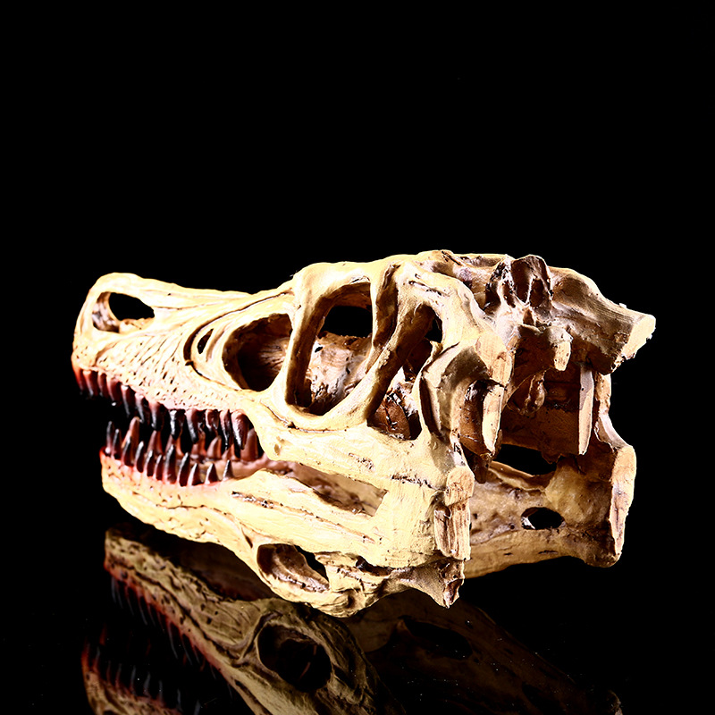 迅猛龙头骨 树脂工艺品 骷髅头 个性摆件 恐龙骨架 外贸供货 礼品