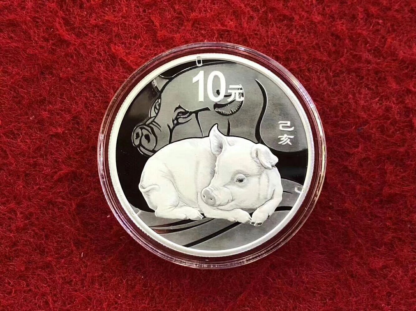 2019年猪年生肖银纪念币.本银猪.30克