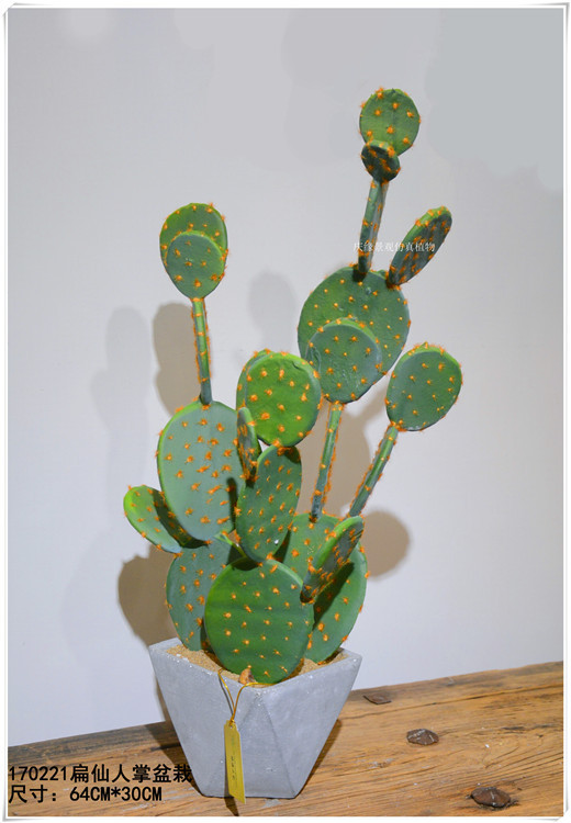 仿真扁仙人掌盆景 仿真兔儿仙人掌盆栽室内家居微景观装饰