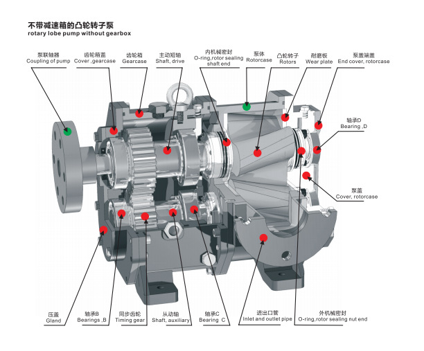 食品级不锈钢转子泵