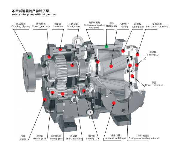 转子泵分解图图片