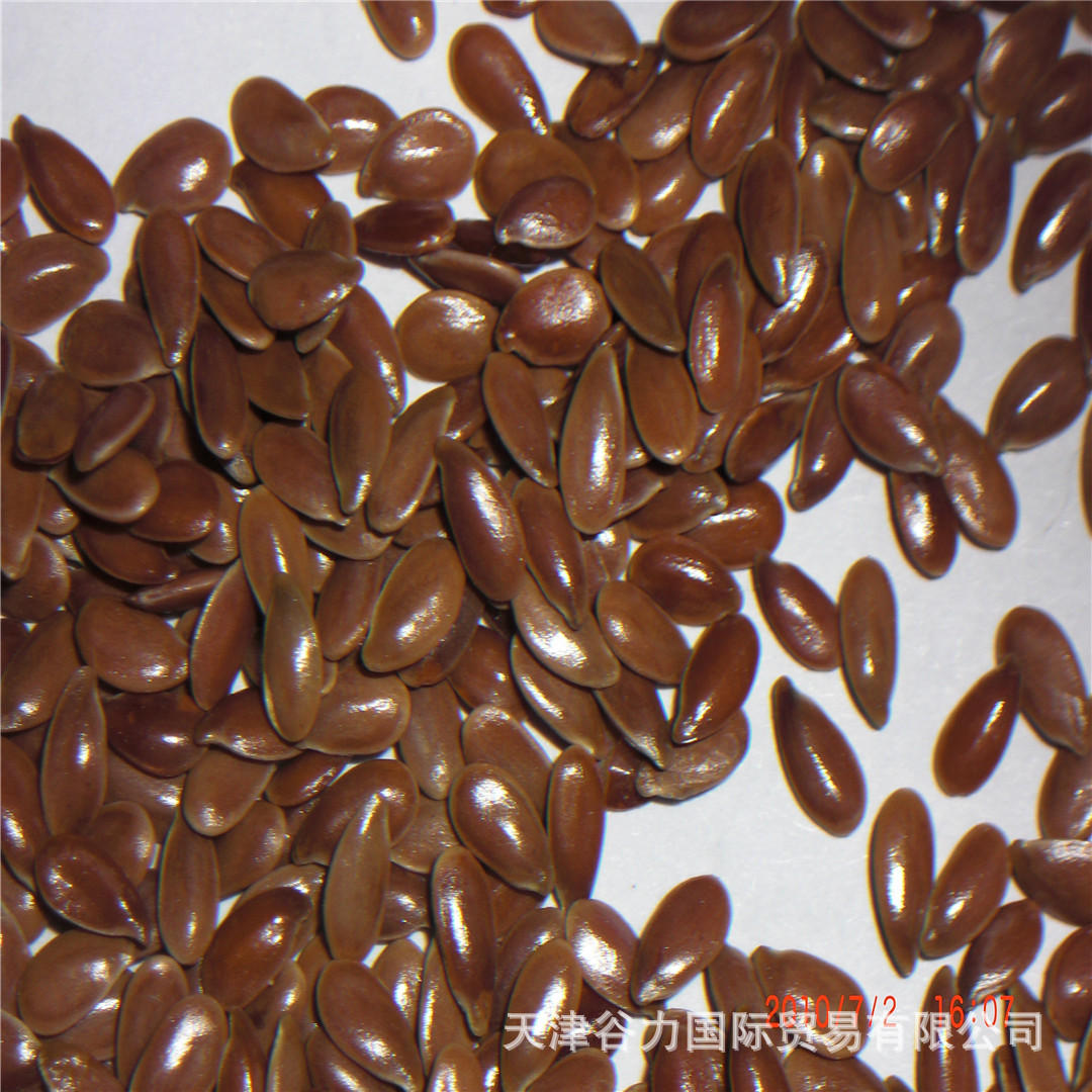 批发亚麻籽玩具填充物亚麻籽保健品填充物亚麻籽熏蒸杀虫一票结算