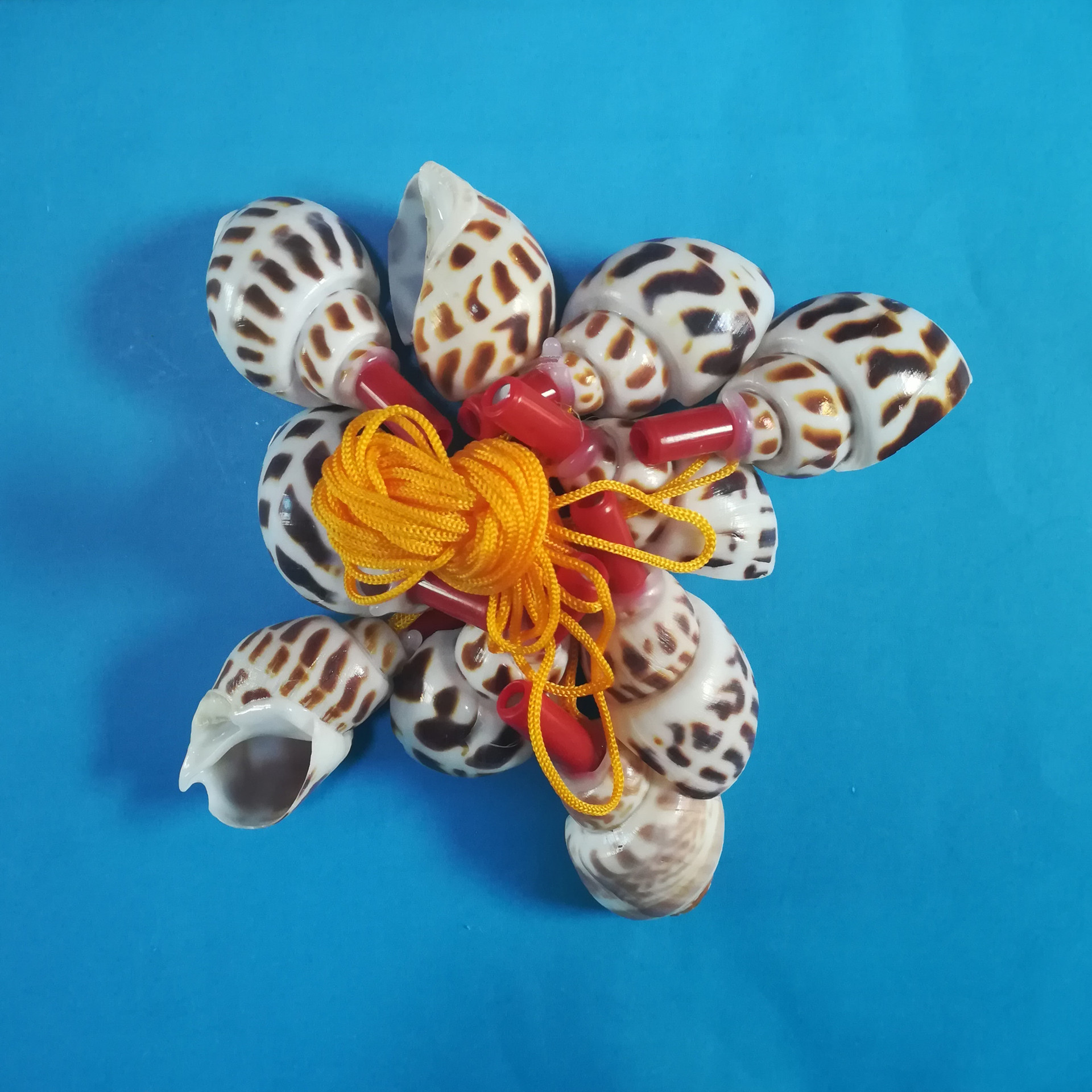 天然海螺贝壳儿童玩具创意饰品礼品 东风螺口哨号角螺号吹号