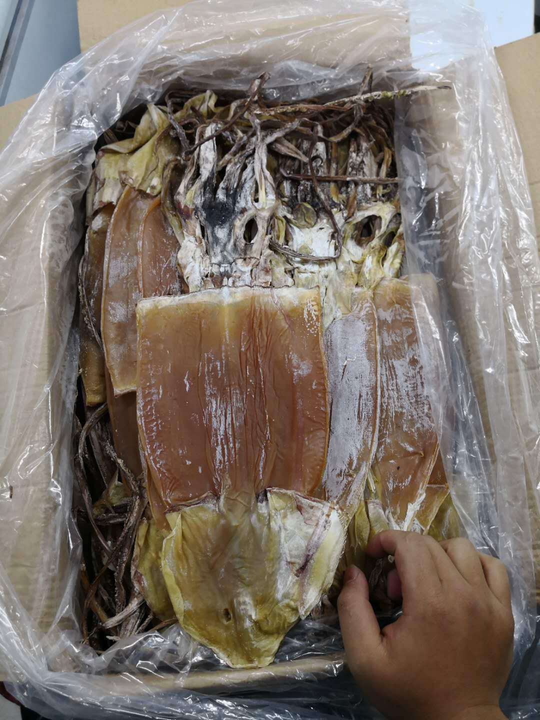 干货 乌贼干 咸鱼干 墨鱼干 大鱿鱼干 鱿鱼干 海鲜水产干货500克