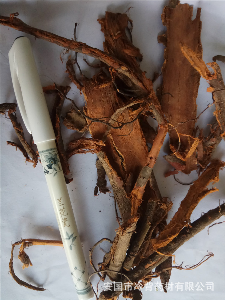 中药材李根白皮 甘李根白皮 李根皮1000g量大从优