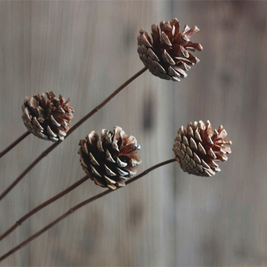 松果单枝松果彩色松果挂件拍摄道具组合花束diy松果干果