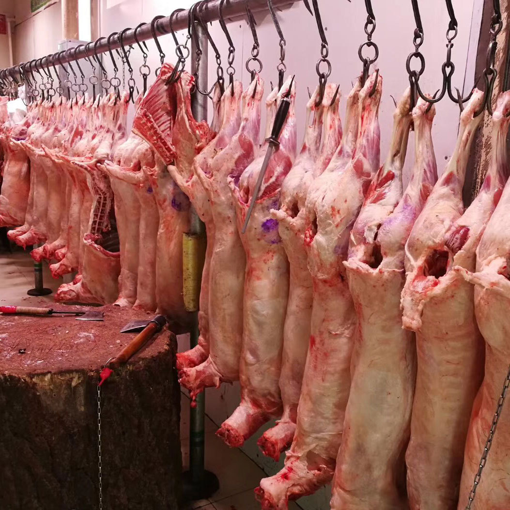 新疆羊肉羊羔肉批发  冷冻酮体羊烧烤火锅食材 牧场直供 量大从优