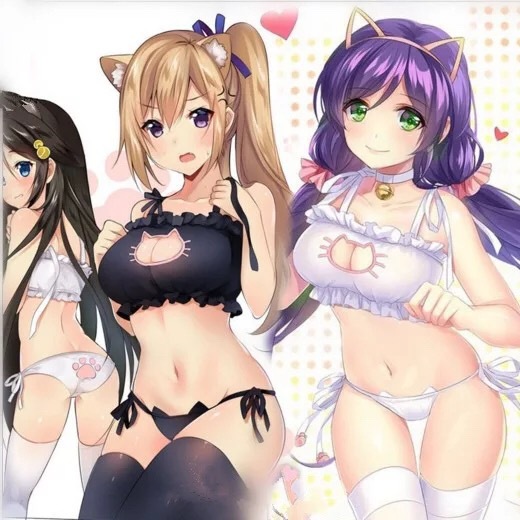猫女镂空绣花内衣情趣套装cos装表演服 动漫服装批发
