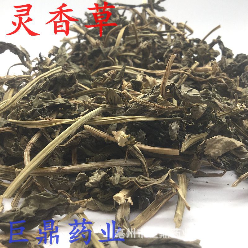 批发 灵香草 零陵香 灵草 熏草 香灵草@巨鼎药业