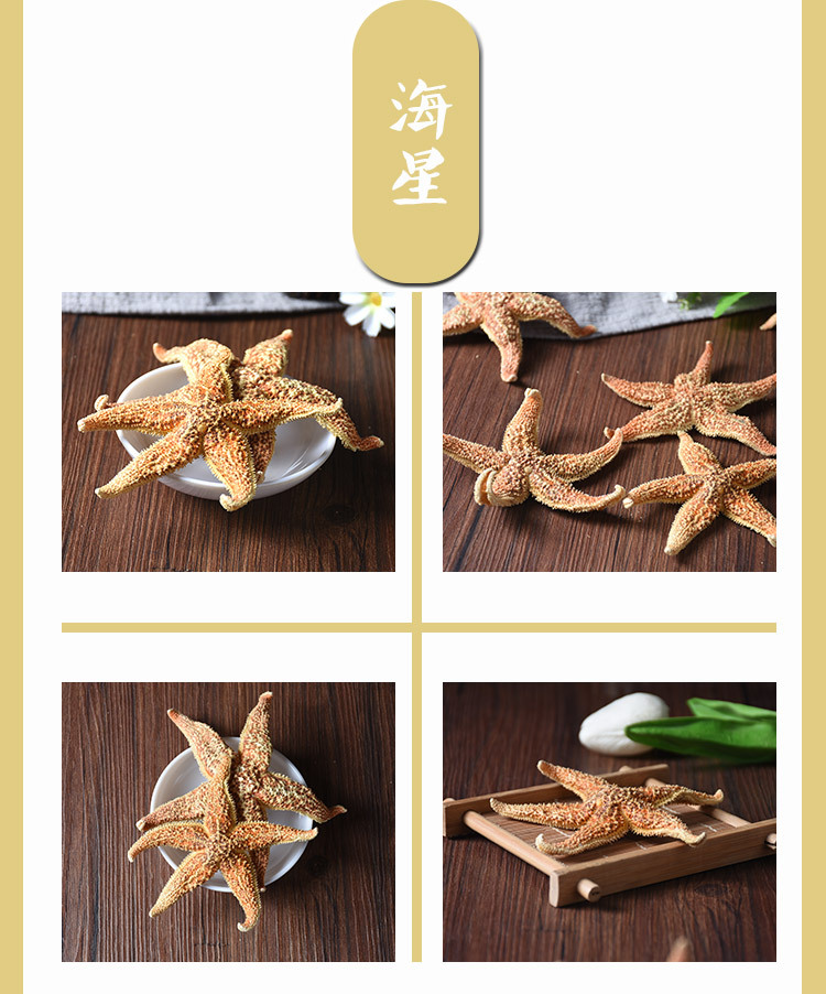 海星 干男士泡酒料 中药材深海五指海星 多棘海盘车装饰品规格全