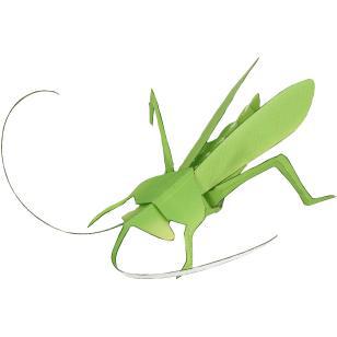 蝈蝈 昆虫纸模型 3d手工diy 幼儿园折纸 学生活动折纸 亲子diy