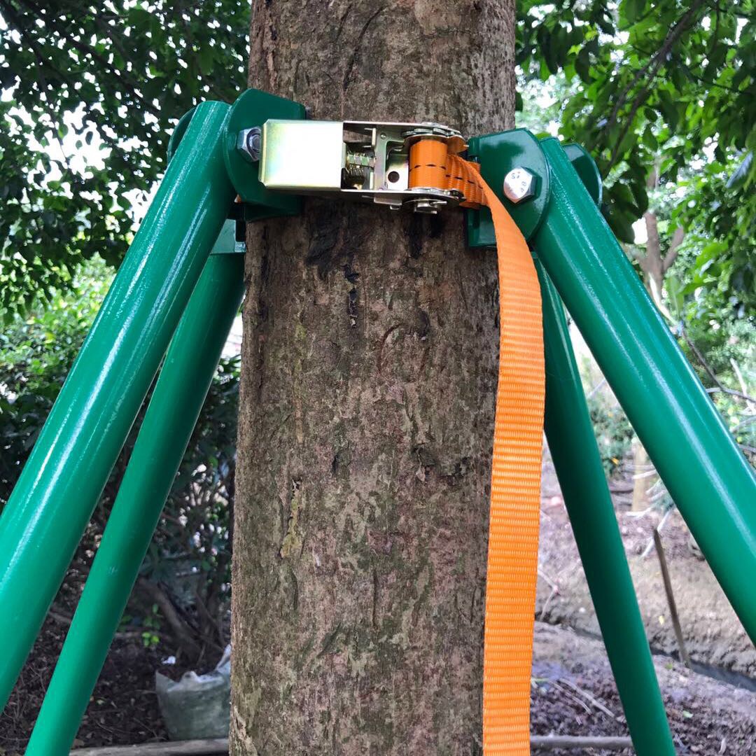 树木支撑架 园林景观树木支撑 道路绿化树木支撑架苗木钢管撑杆