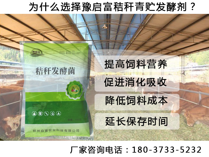 �ո��������ͼ�����