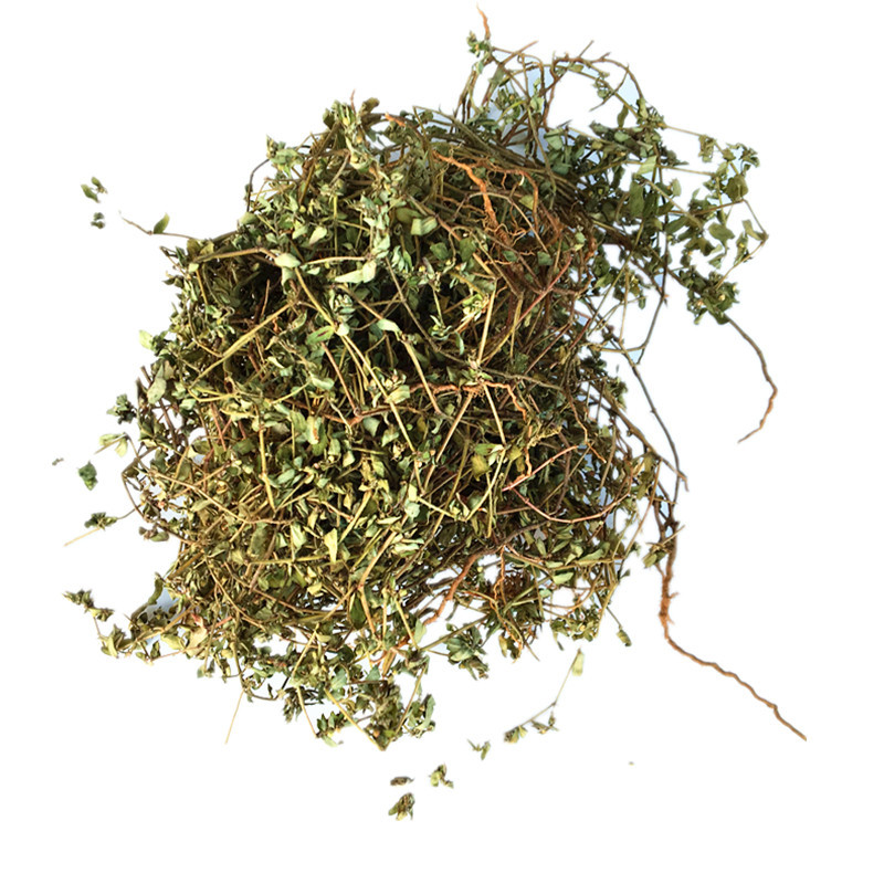 中药材 地锦草野生新货 地锦草 血见愁 卧蛋草铺地草 1000g奶浆草